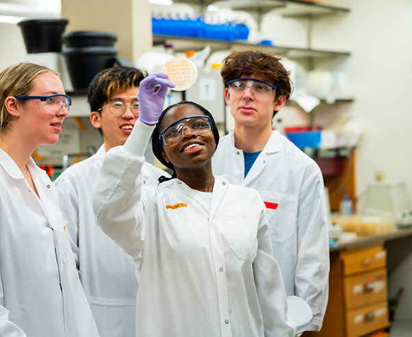 A student holds up a petri dish in a biology lab as three other students look on behind her.